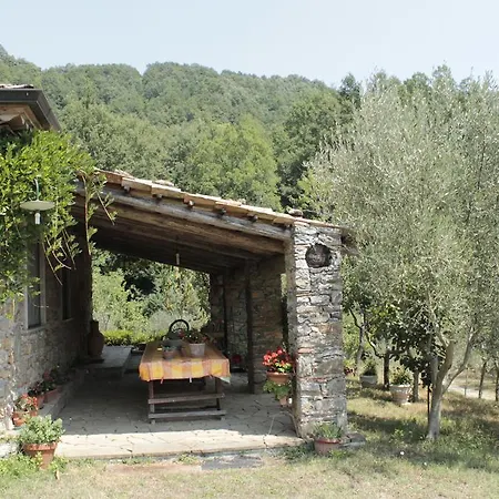 S. Nicola Viggianello