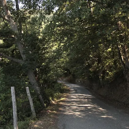 S. Nicola Apartman *