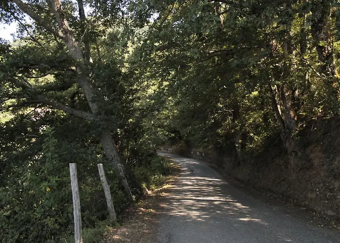 Case Vacanza S. Nicola Apartment *